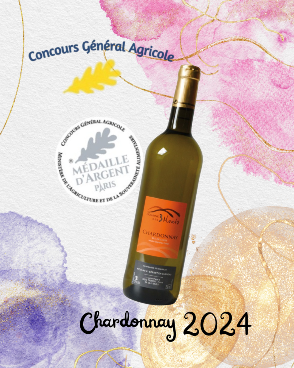 Design sans titre - 1