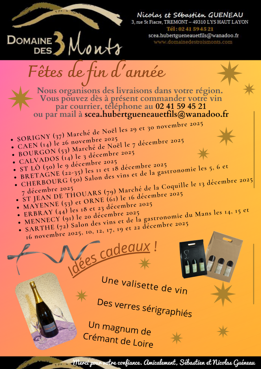 FÊTES DE FIN D'ANNEE 2025 - 1